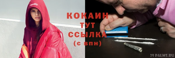 гидропоника Коряжма