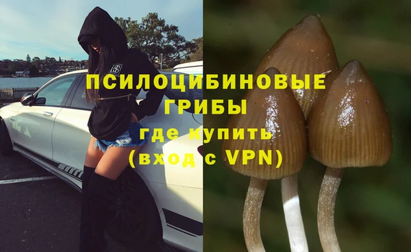 молекула духа Корсаков